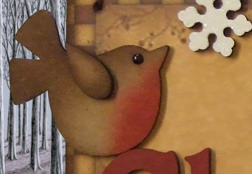 Robin-Detail